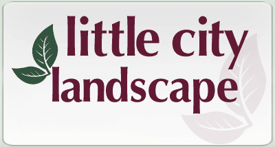 little-city-logo