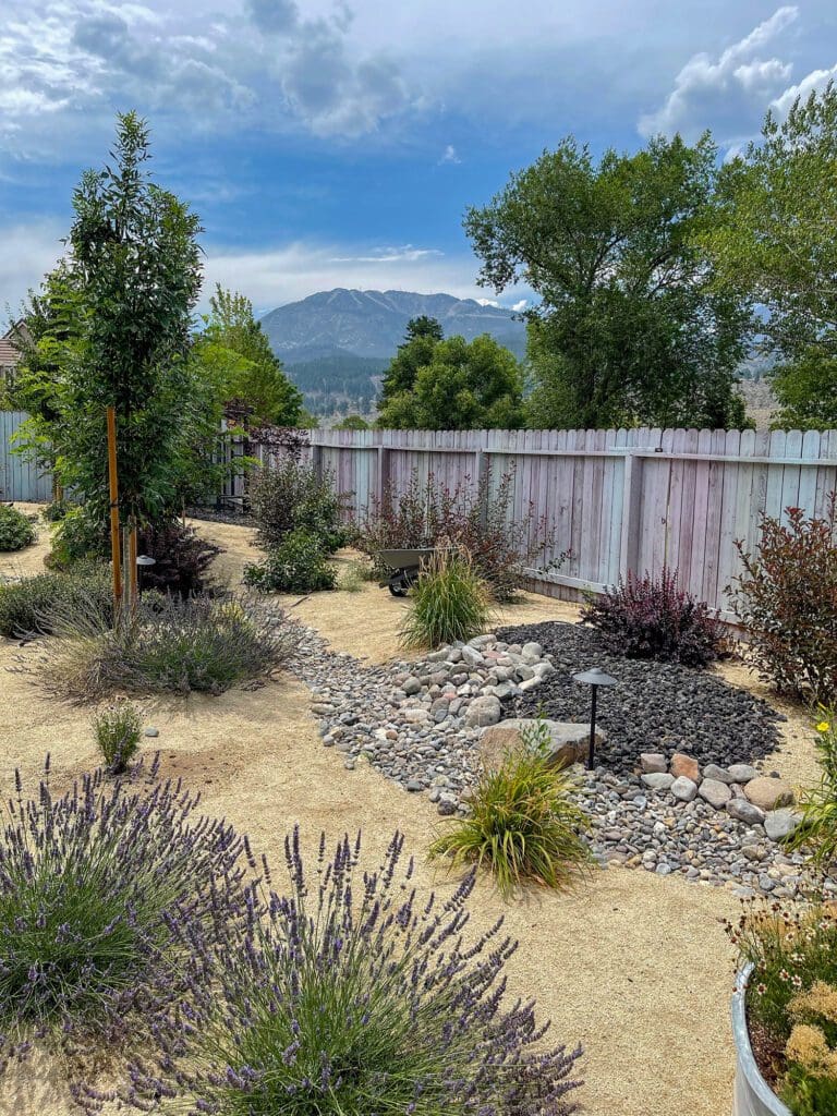 Backyard featuring Reno landscape design with defensible space, fire-smart plant selection, and stone pathways for safety and aesthetics.
