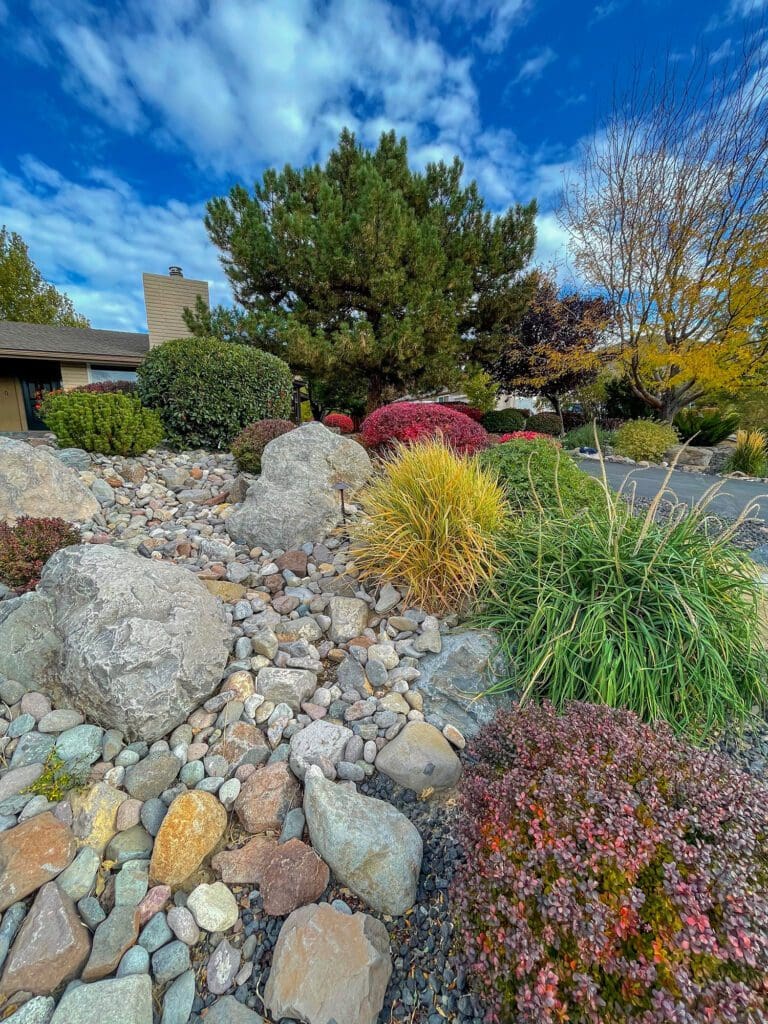 Landscape contractor conducting tree trimming on a young tree to guide healthy growth and prevent weak branch unions