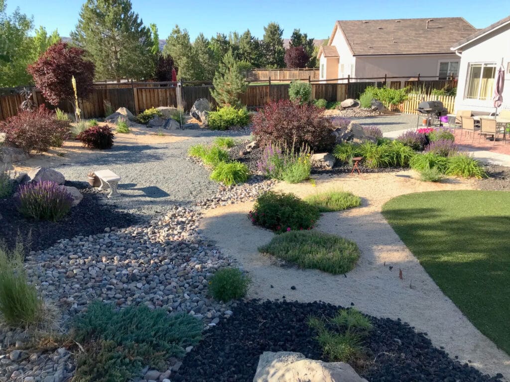 drought tolerant plants