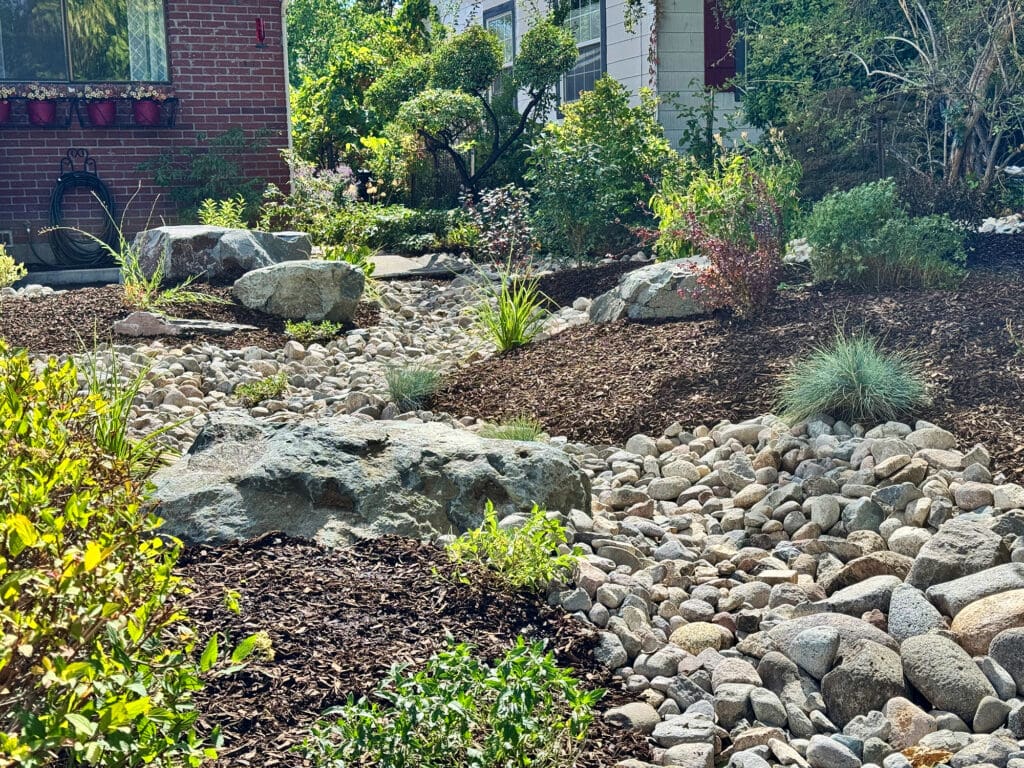 backyard plant area with decorative rocks in landscaping reno drought tolerant design